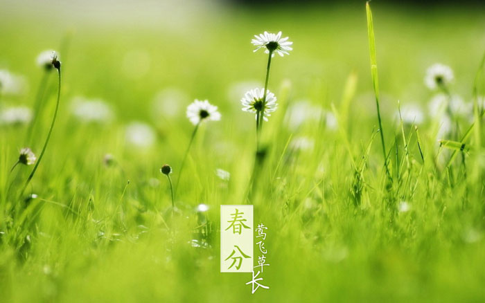 即即是春风十里，，，，依然不如你
