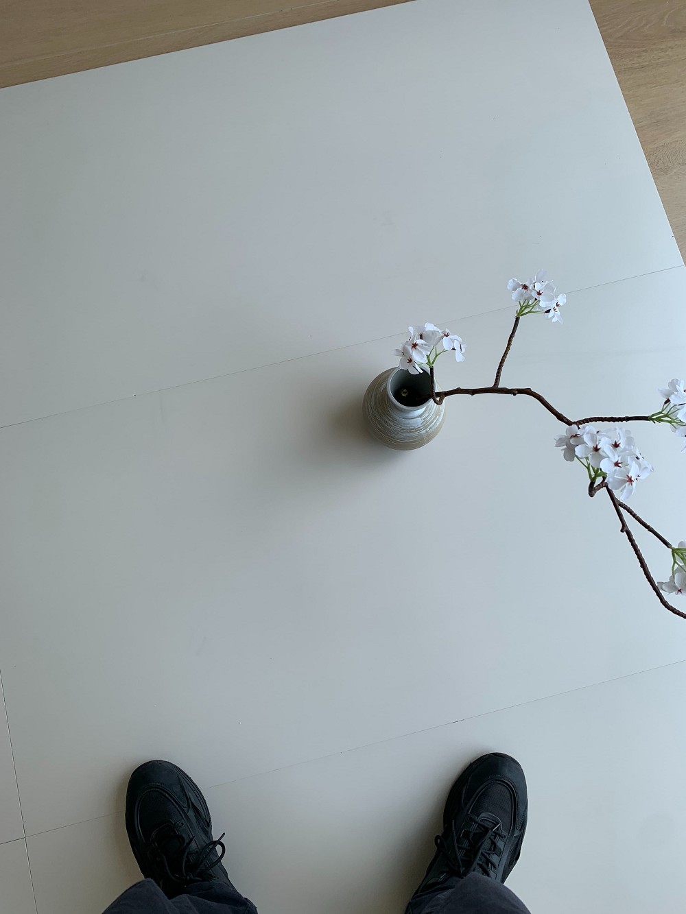 mansion88·明升(中国游)官方网站